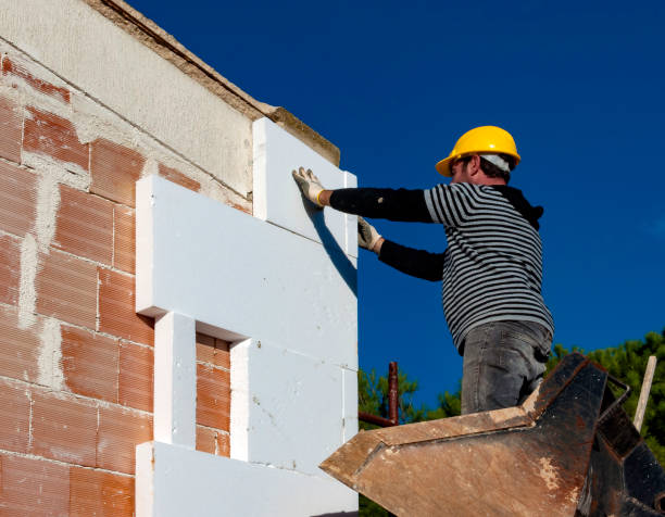 Best Insulation Removal Services  in Scow Mills, MO