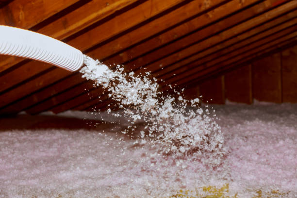 Best Insulation Inspection Services  in Scow Mills, MO
