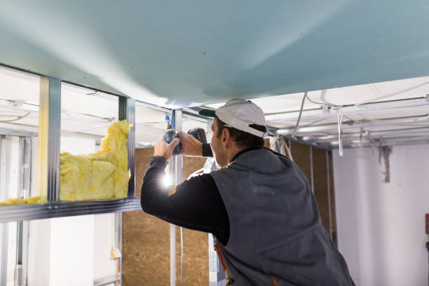 Best Affordable Insulation Services  in Scow Mills, MO