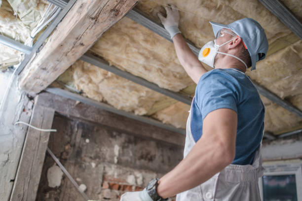 Best Insulation Removal  in Scow Mills, MO