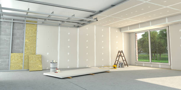 Best Spray Foam Insulation  in Scow Mills, MO