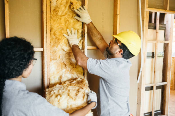Best Energy-efficient Insulation  in Scow Mills, MO