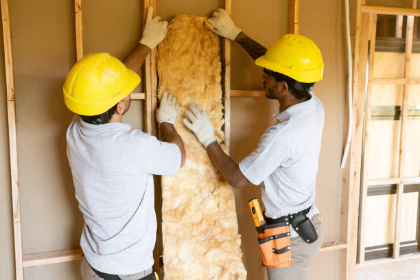 Best Cellulose Insulation  in Scow Mills, MO