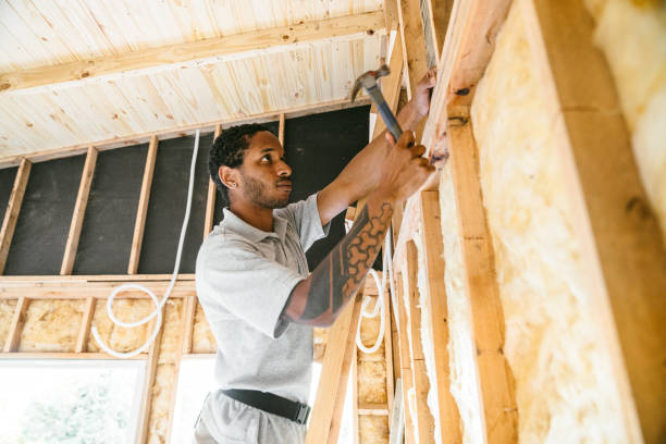 Best Spray Foam Insulation  in Scow Mills, MO