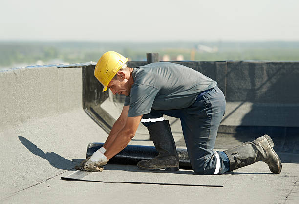 Best Local Insulation Services  in Scow Mills, MO