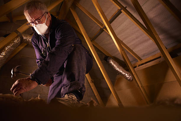 Best Residential Insulation Services  in Scow Mills, MO
