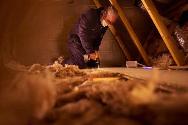 Best Insulation for New Construction  in Scow Mills, MO